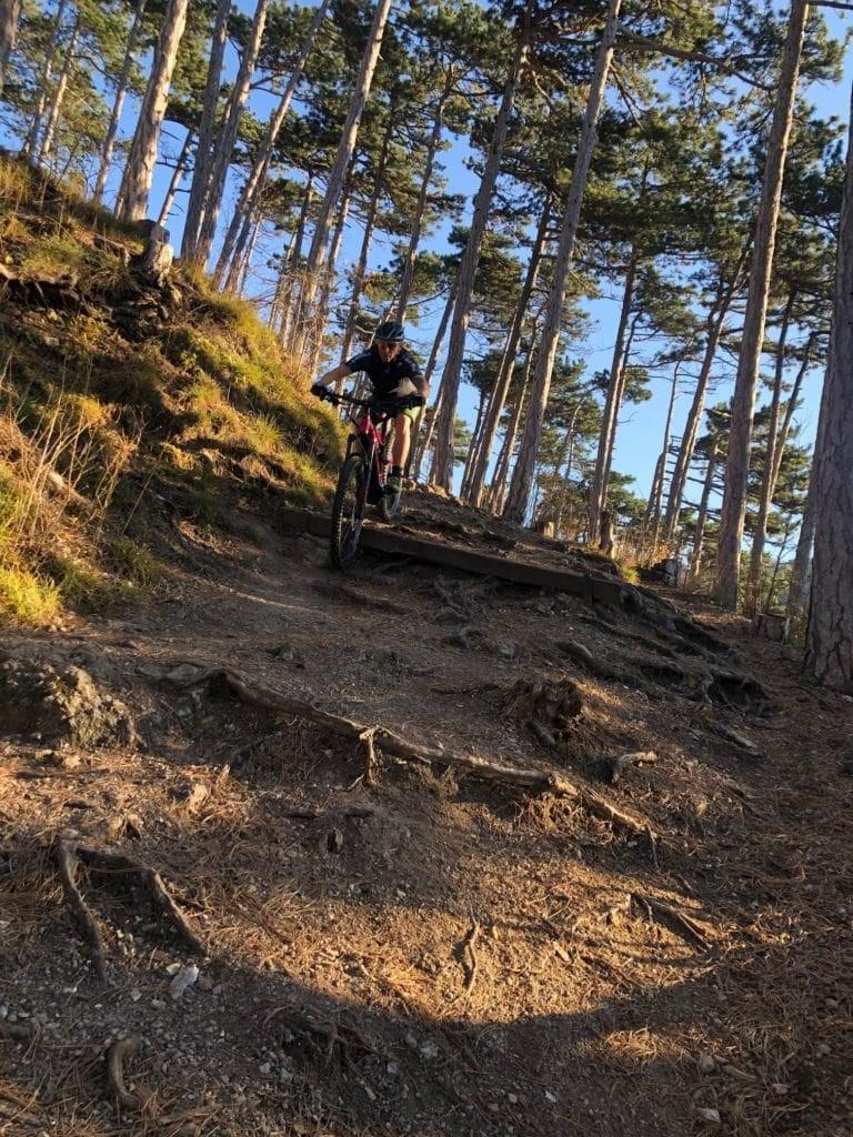 Mountainbiker auf steinigem Waldweg zwischen hohen Bäumen