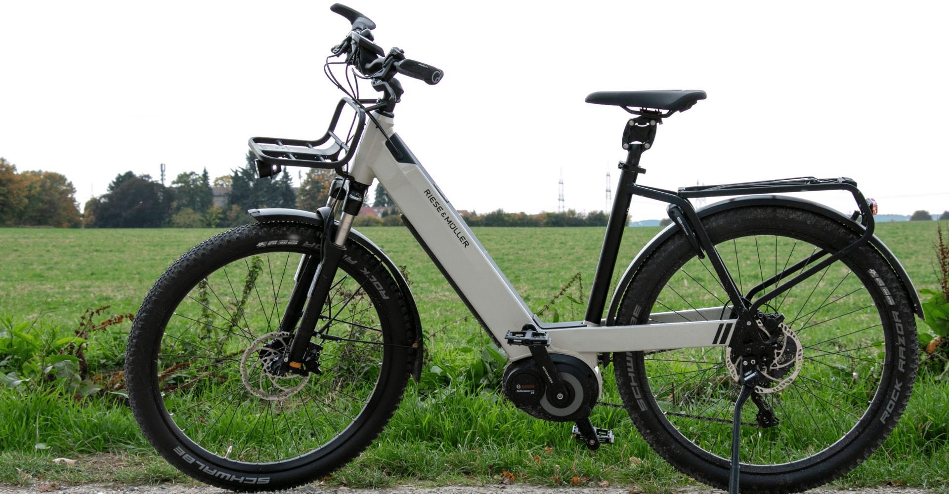 Riese & Müller Nevo GX Rohloff e-Bike vor Wiese