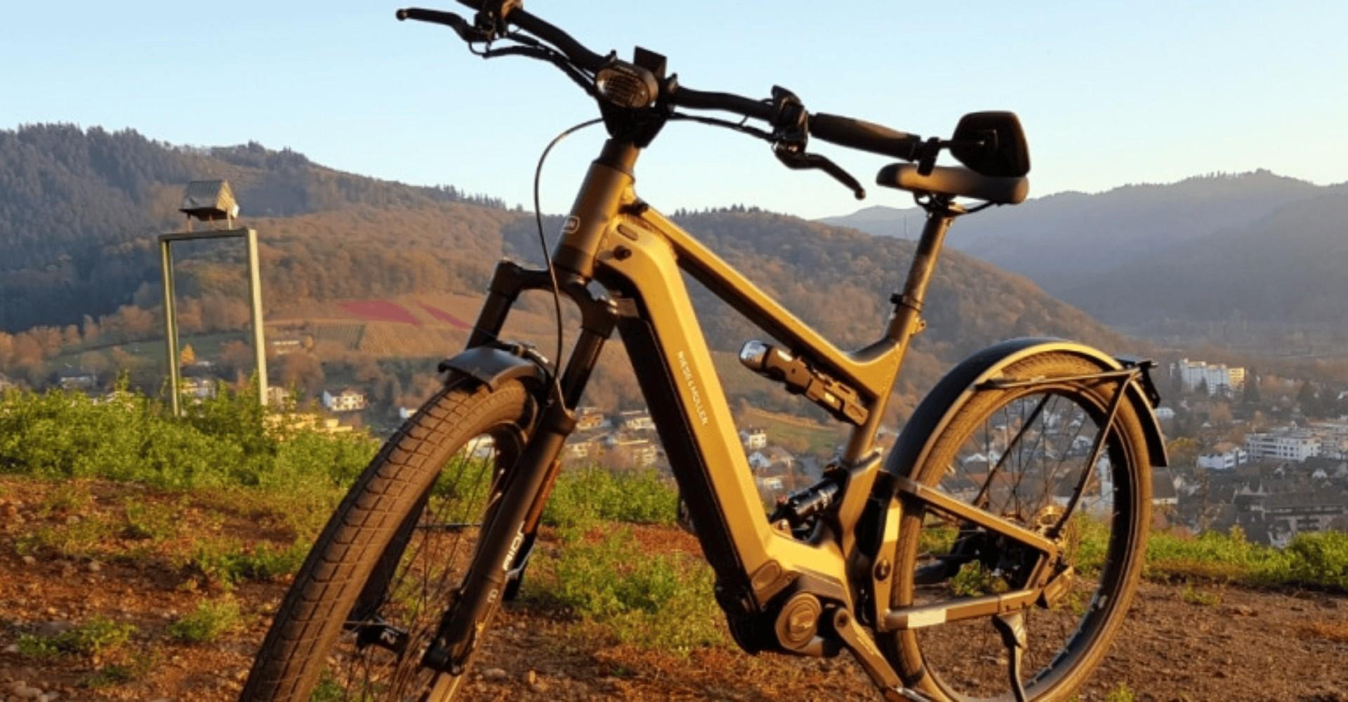 Das Bild zeigt ein Riese & Müller Delight GT E-Bike, das in einer landschaftlichen Umgebung abgestellt ist. Die tie
