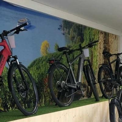 E-Bike Ausstellung in Wien mit Fokus auf verschiedene Modelle