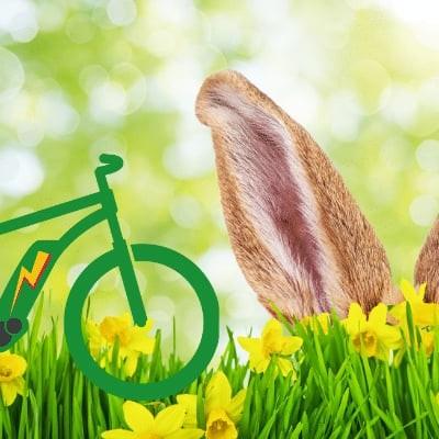 Fahrrad und Hasenohren im Frühlingsgras mit gelben Blumen