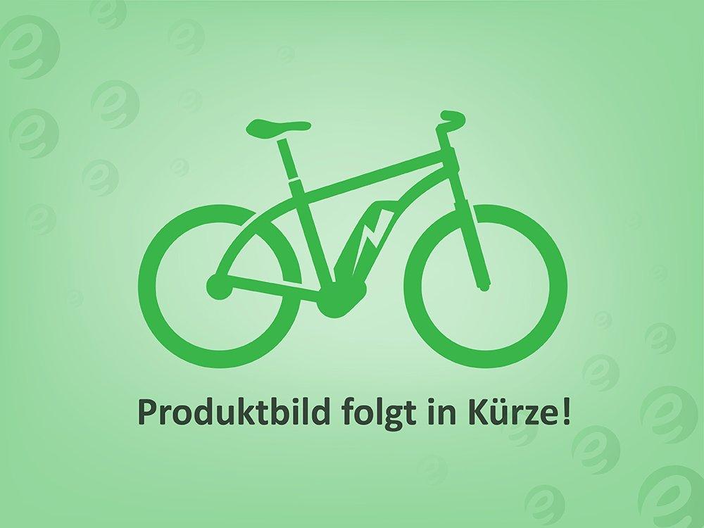 Kalkhoff ENTICE 7.B MOVE+ Grau/Braun