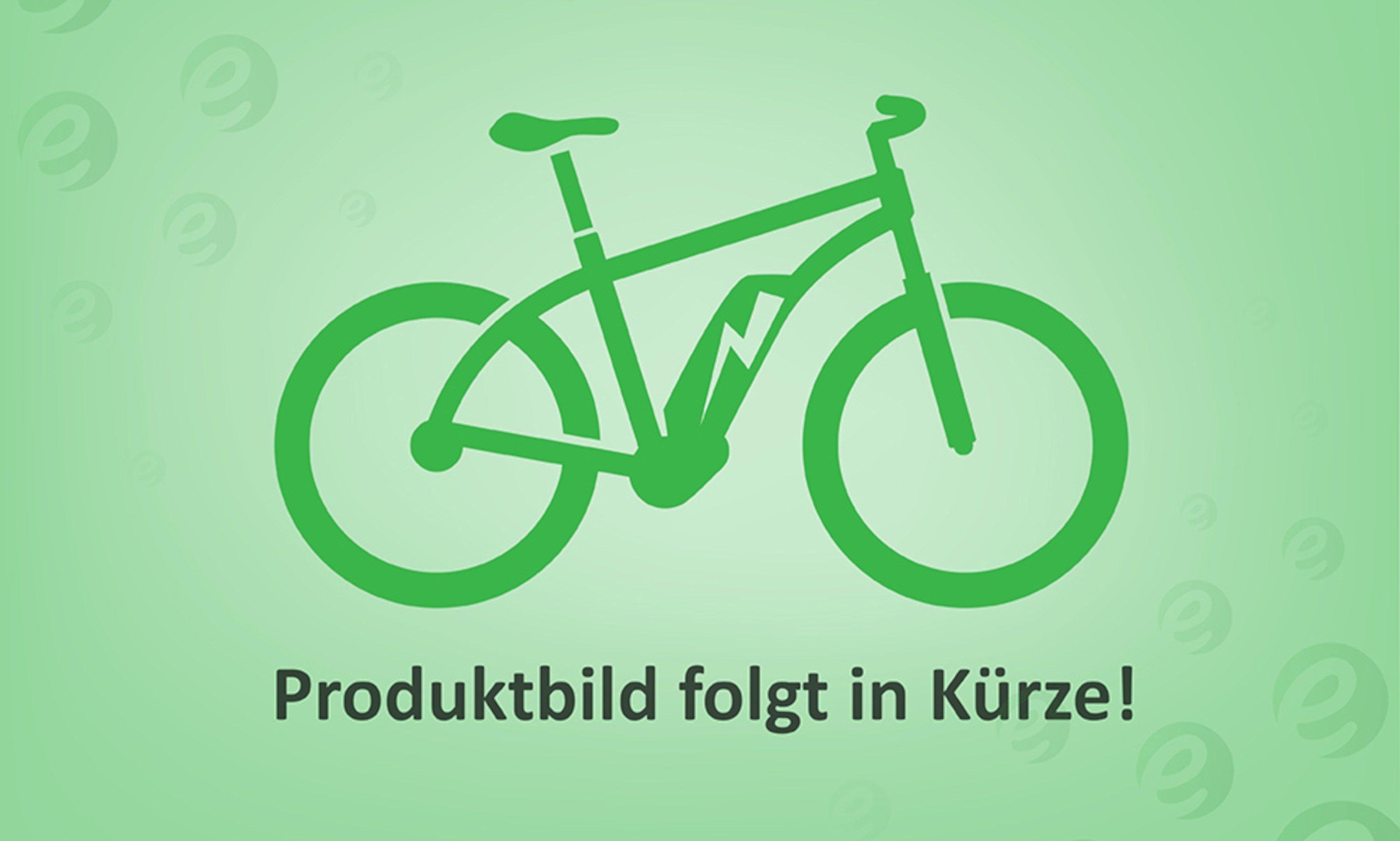 Specialized Turbo Levo Alloy Grün/Braun