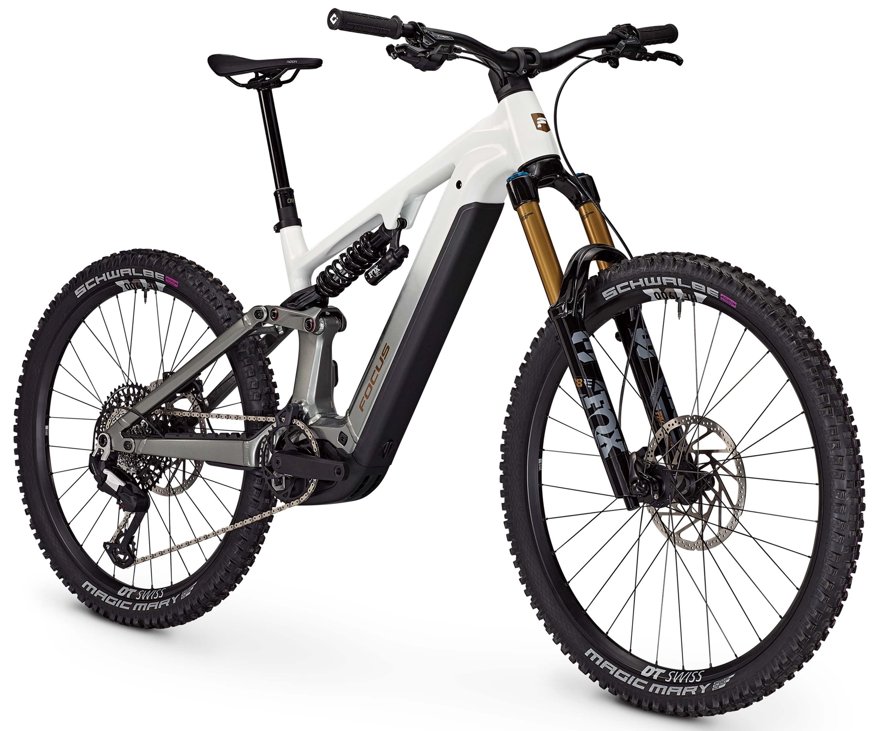 Focus Sam2 6.9 Weiß/Grau/Silber/Gold – Image 2