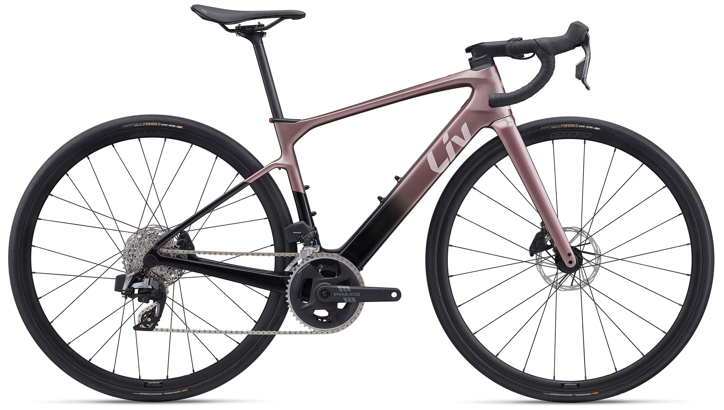 Liv Avail Advanced E+ Elite 2 Schwarz/Rot/Bronze