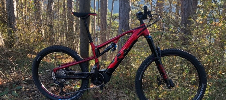 Raymon Trailray 2021 E-Mountainbike im Wald