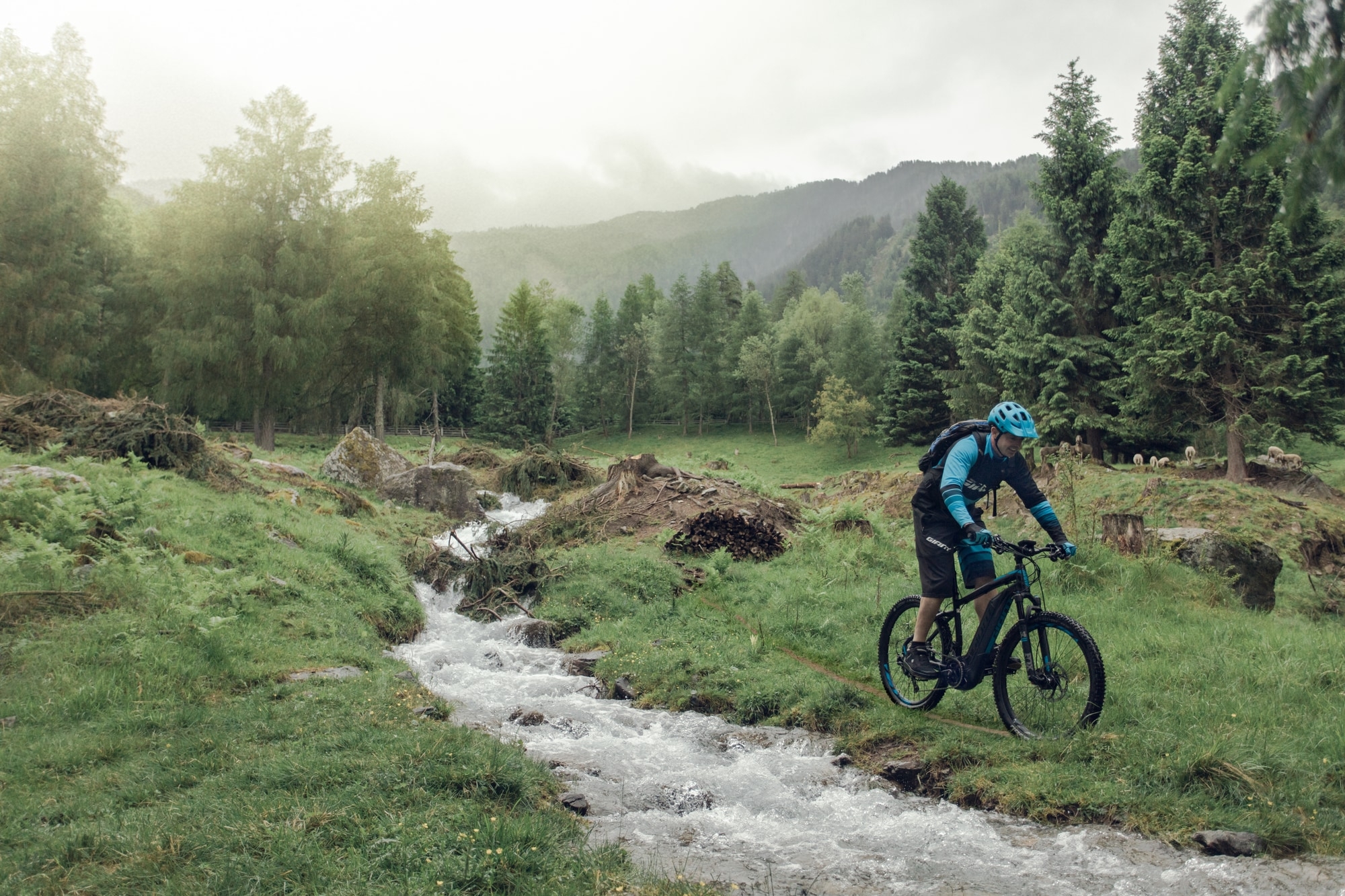 Entdecke die Natur mit dem Giant E-Mountainbike. Perfekt für Offroad-Abenteuer in malerischer Umgebung.