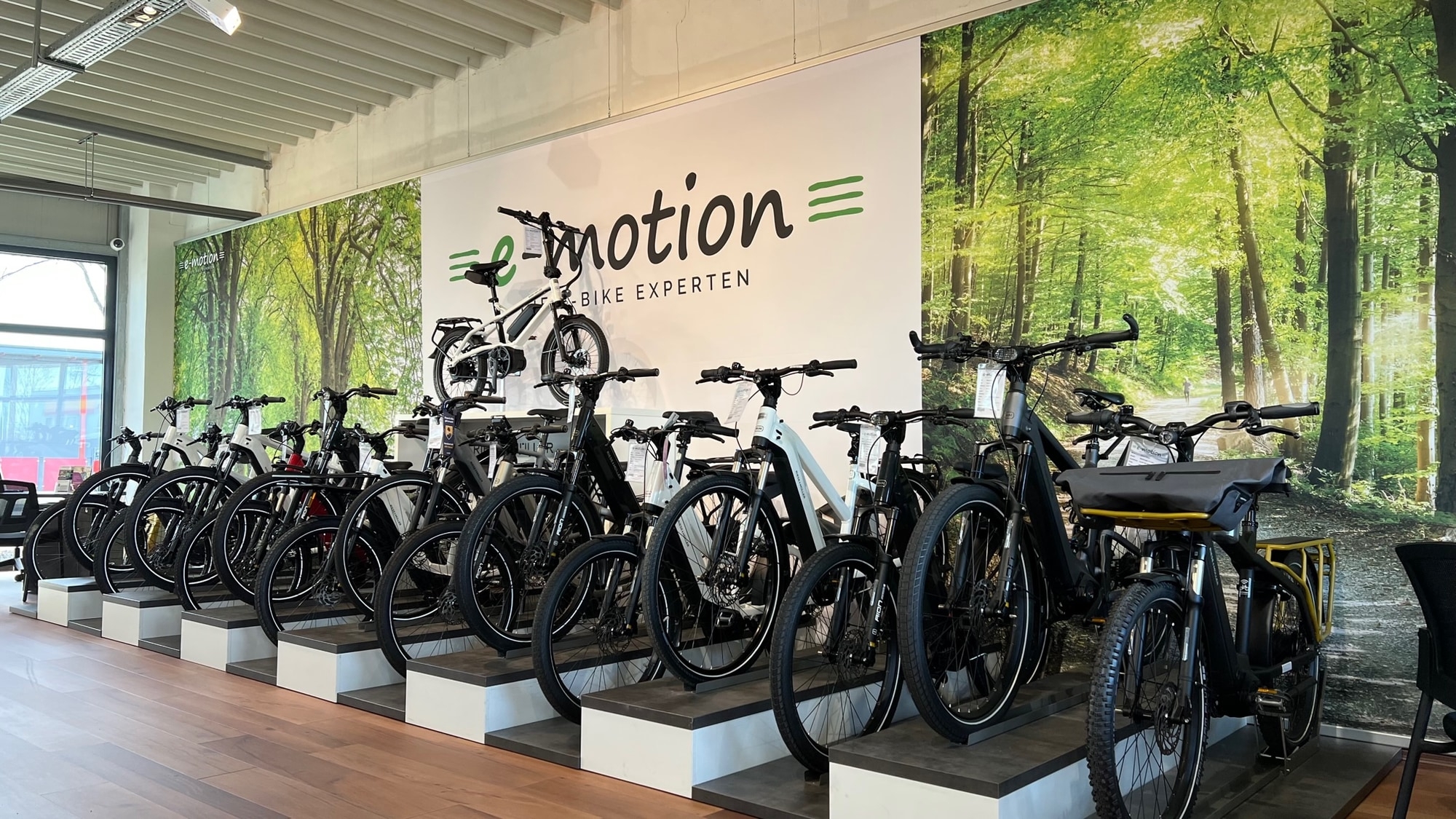 Moderne E-Bikes in einem stilvollen Laden mit Naturhintergrund. Hier finden Sie das perfekte Bike für Ihre Abenteue