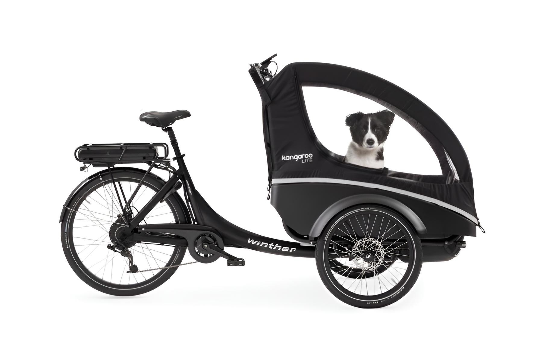 Hund im Winther Kangaroo Dog