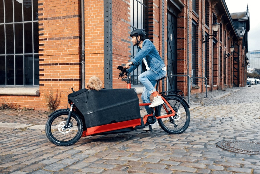 Mann fährt Lastenrad mit Hund in urbaner Umgebung