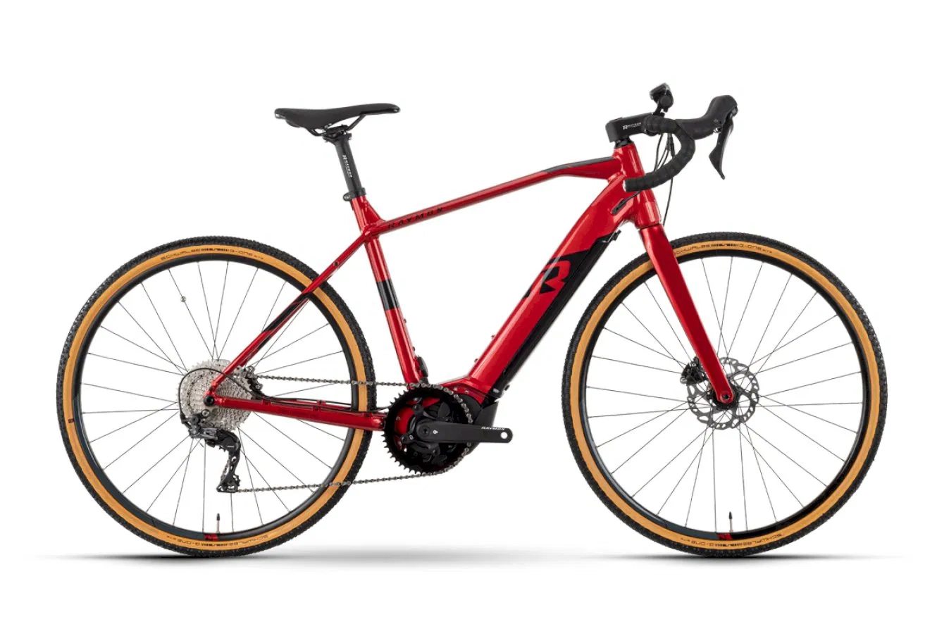 Elegantes Rotwild E-Bike mit robustem Rahmen und modernen Scheibenbremsen. Perfekt für abenteuerlustige Radfahrer.