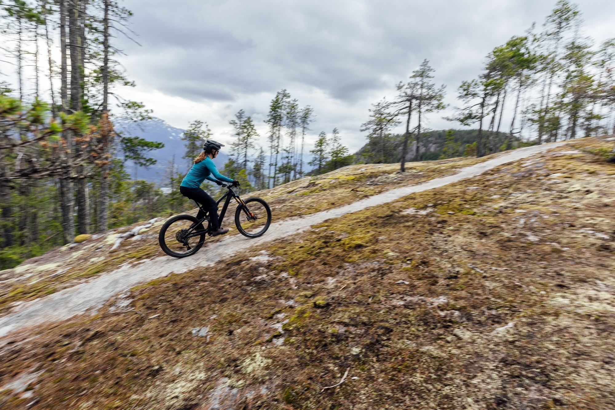 Das Bild zeigt das Specialized Turbo Levo SL im Uphill