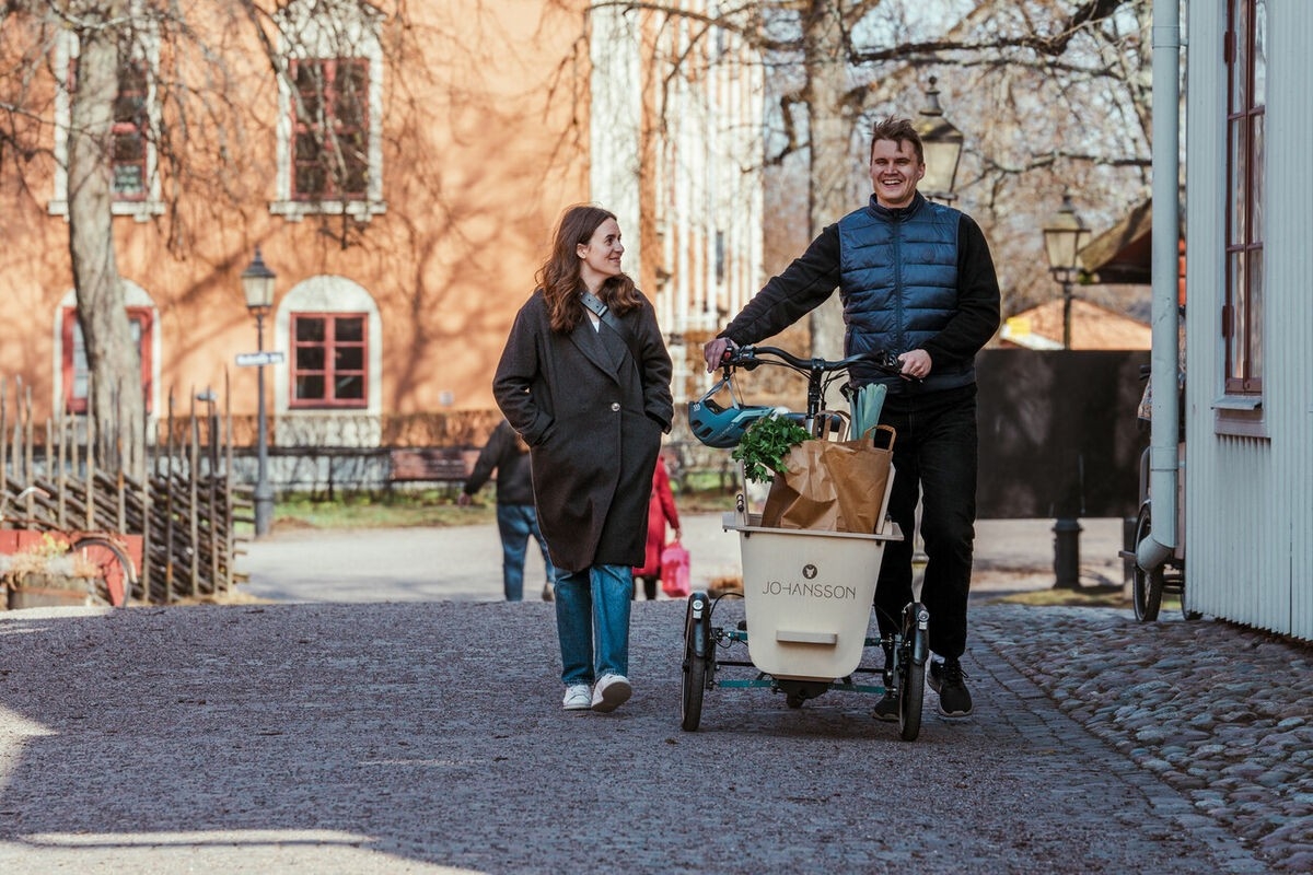Das Bild zeigt ein E-Bike mit einem speziell gestalteten Lastenanhänger, der mit Einkäufen beladen ist.