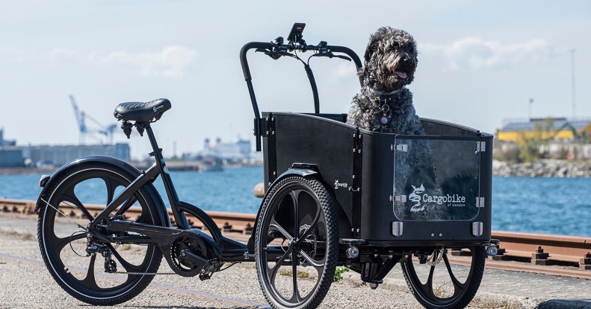 Effizientes Cargobike von ScandiBike für komfortablen Hundetransport entlang der Küste. Ideal für Tierliebhaber mit