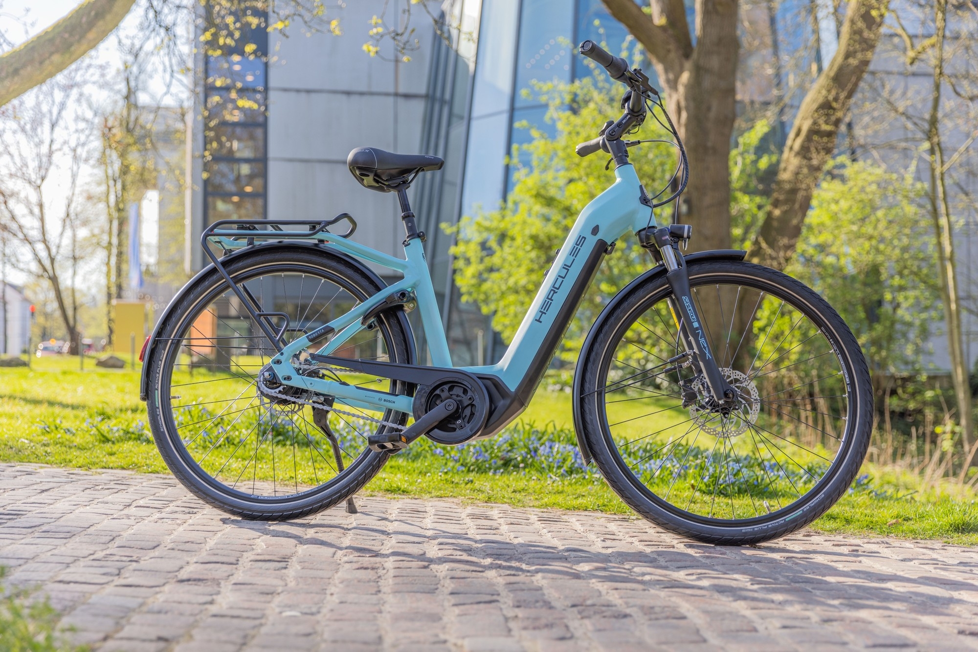 Das Bild zeigt ein Hercules Robert/-a