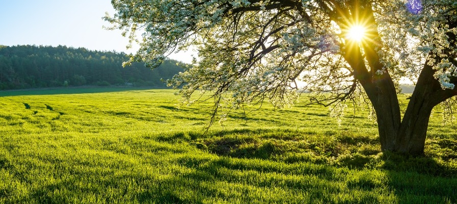 Das Bild zeigt eine malerische Landschaft in Gärtringen, die perfekt für E-Bike-Touren geeignet ist.