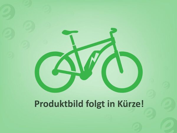 Riese & Müller Nevo4 GT rohloff 2025 SUV e-Bike